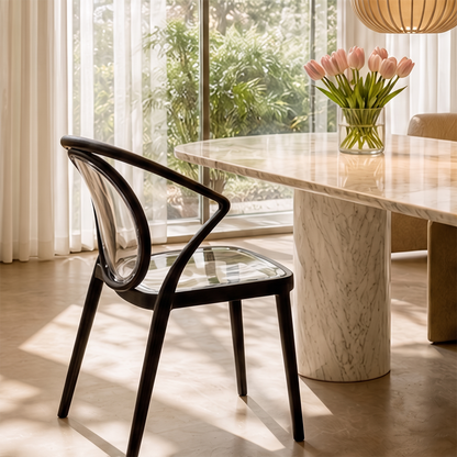 Stylish Multipurpose Chair with Clear Transparent Backrest